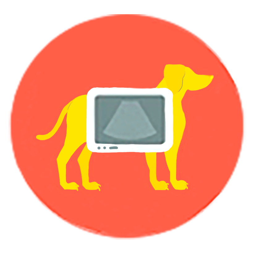 clinica-veterinaria-ecografia